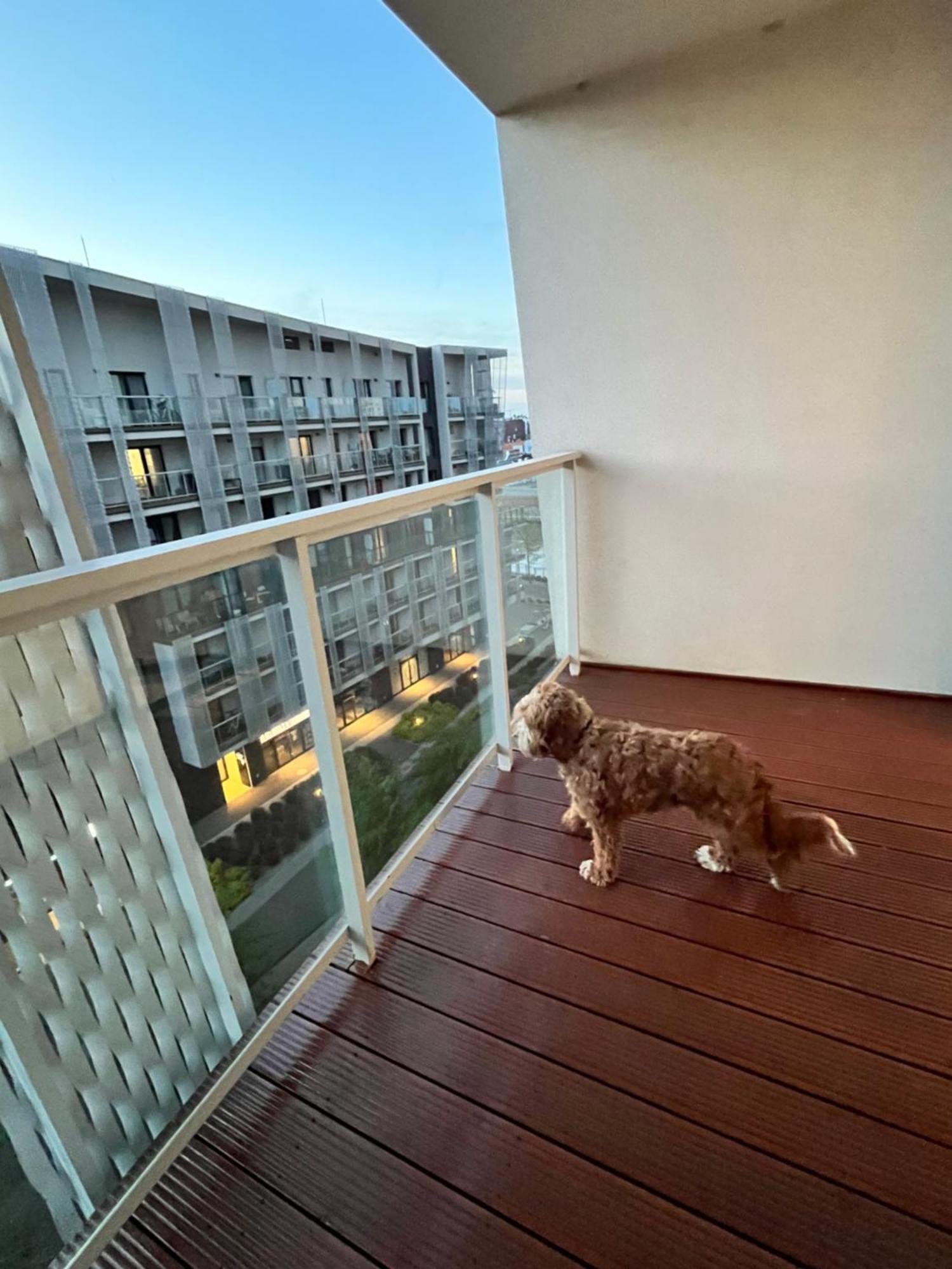 Family House By The River Odra -Panoramic Terrace - 3Room Apartment With 2 Separate Bedrooms And 2 Balconies By Wroapart-Pl- Perfect For Family & Business Stays Breslávia Exterior foto